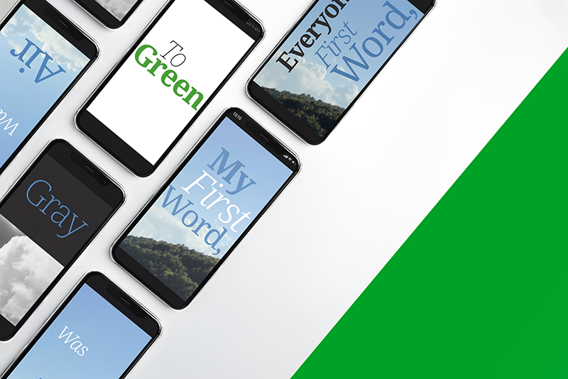 Elemento de Campaña 'For'